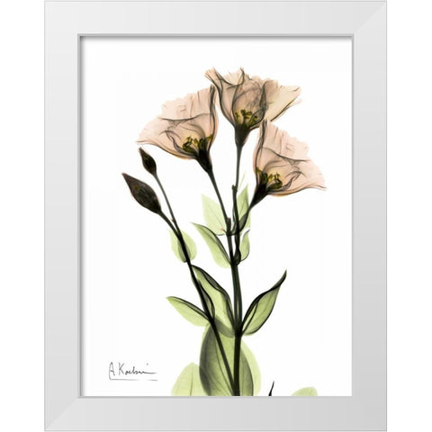 Gentian 3 White Modern Wood Framed Art Print by Koetsier, Albert