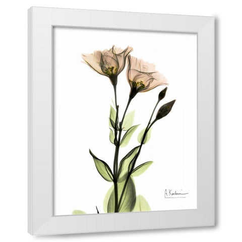 Gentian 2 White Modern Wood Framed Art Print by Koetsier, Albert