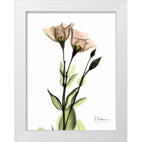 Gentian 2 White Modern Wood Framed Art Print by Koetsier, Albert