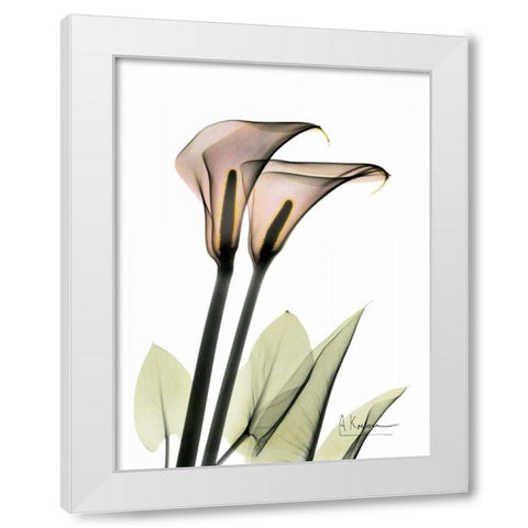 Calla Lily Pair White Modern Wood Framed Art Print by Koetsier, Albert