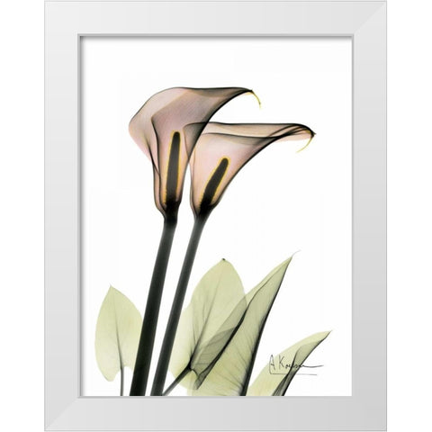 Calla Lily Pair White Modern Wood Framed Art Print by Koetsier, Albert