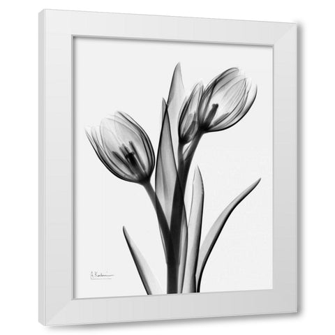 Tulips H37 White Modern Wood Framed Art Print by Koetsier, Albert