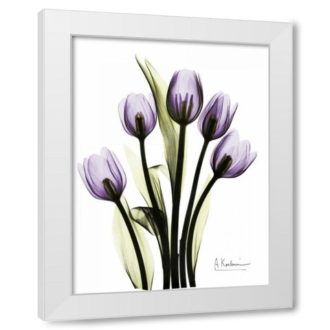 Regal Tulip B13 White Modern Wood Framed Art Print by Koetsier, Albert
