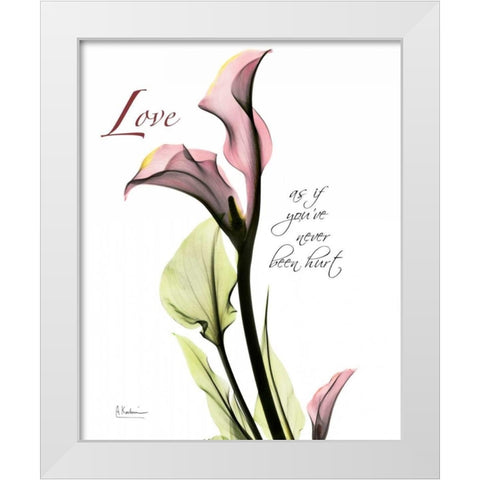 Calla Lily in Pink - Love White Modern Wood Framed Art Print by Koetsier, Albert