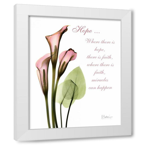 Calla Lily in Pink - Hope White Modern Wood Framed Art Print by Koetsier, Albert