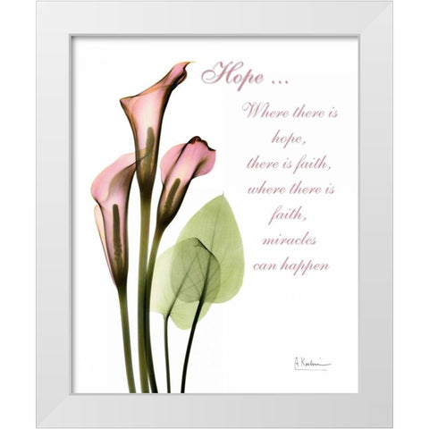 Calla Lily in Pink - Hope White Modern Wood Framed Art Print by Koetsier, Albert