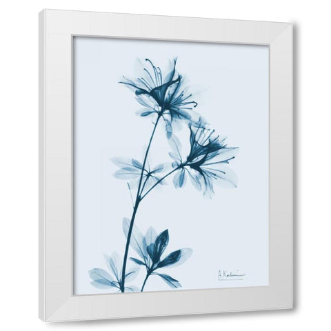 Azalea in Blue White Modern Wood Framed Art Print by Koetsier, Albert