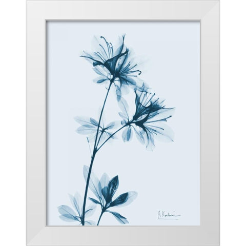 Azalea in Blue White Modern Wood Framed Art Print by Koetsier, Albert