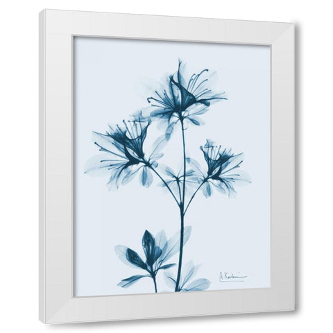 Azalea in Blue 2 White Modern Wood Framed Art Print by Koetsier, Albert