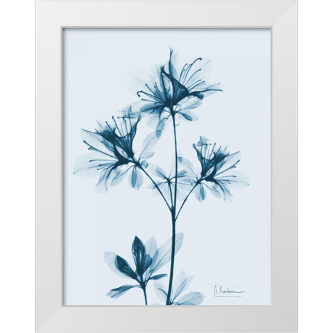 Azalea in Blue 2 White Modern Wood Framed Art Print by Koetsier, Albert