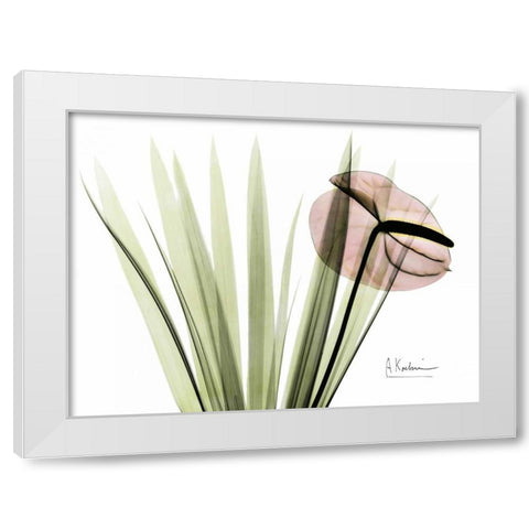 Flamingo Plant in Color White Modern Wood Framed Art Print by Koetsier, Albert