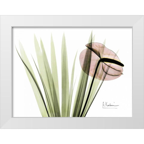 Flamingo Plant in Color White Modern Wood Framed Art Print by Koetsier, Albert