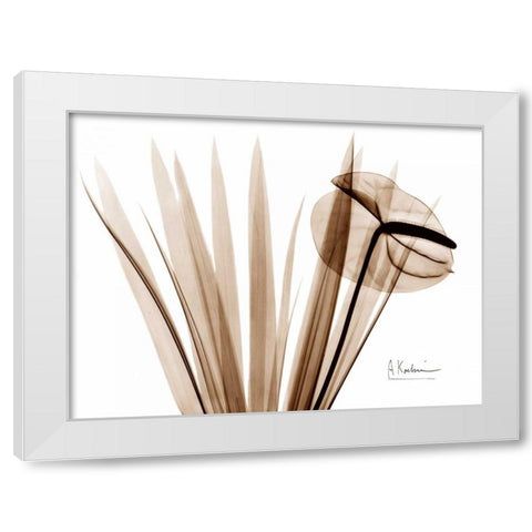 Flamingo Plant White Modern Wood Framed Art Print by Koetsier, Albert