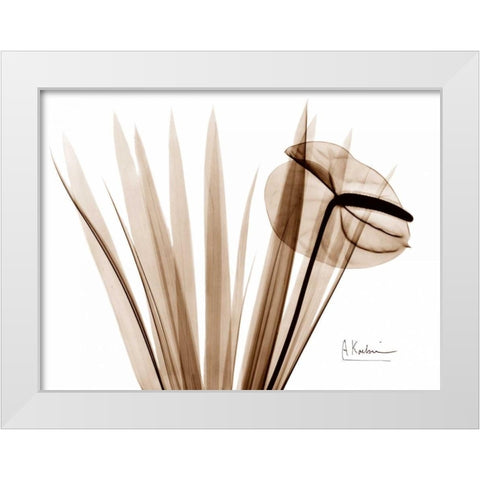 Flamingo Plant White Modern Wood Framed Art Print by Koetsier, Albert