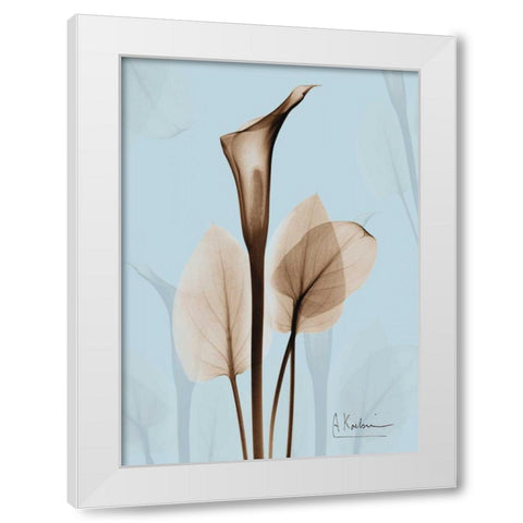 Calla Lily Brown on Blue 2 White Modern Wood Framed Art Print by Koetsier, Albert