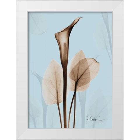 Calla Lily Brown on Blue 2 White Modern Wood Framed Art Print by Koetsier, Albert