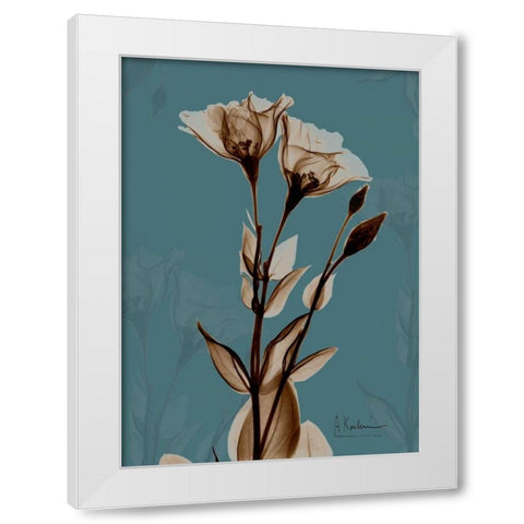 Fields of Blue II White Modern Wood Framed Art Print by Koetsier, Albert