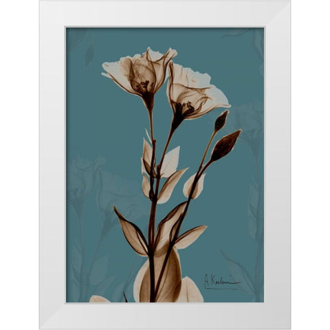 Fields of Blue II White Modern Wood Framed Art Print by Koetsier, Albert