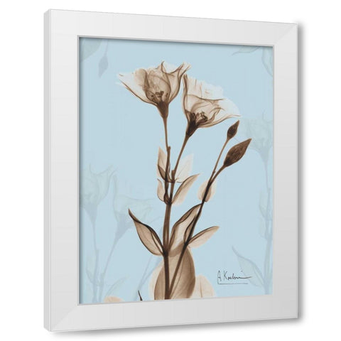 Tulips Brown on Blue White Modern Wood Framed Art Print by Koetsier, Albert