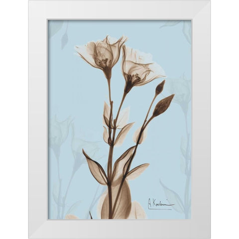 Tulips Brown on Blue White Modern Wood Framed Art Print by Koetsier, Albert