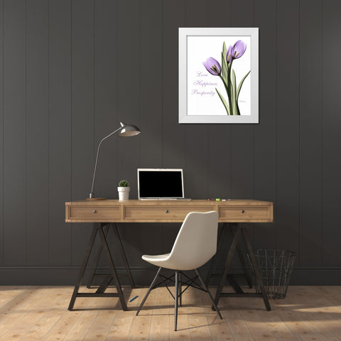 Purple Tulips Love Happiness White Modern Wood Framed Art Print by Koetsier, Albert