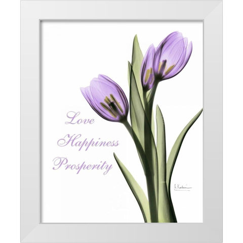 Purple Tulips Love Happiness White Modern Wood Framed Art Print by Koetsier, Albert