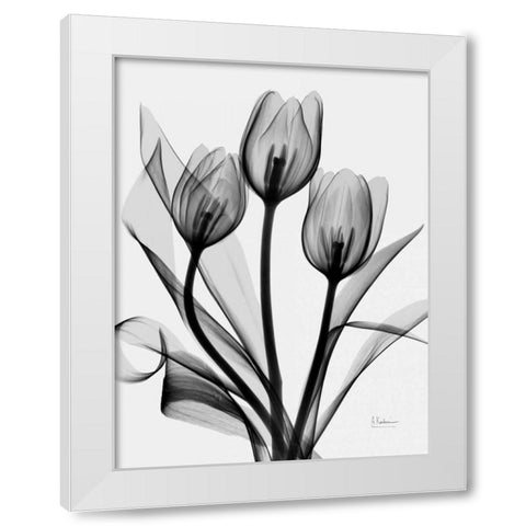 Tulips White Modern Wood Framed Art Print by Koetsier, Albert