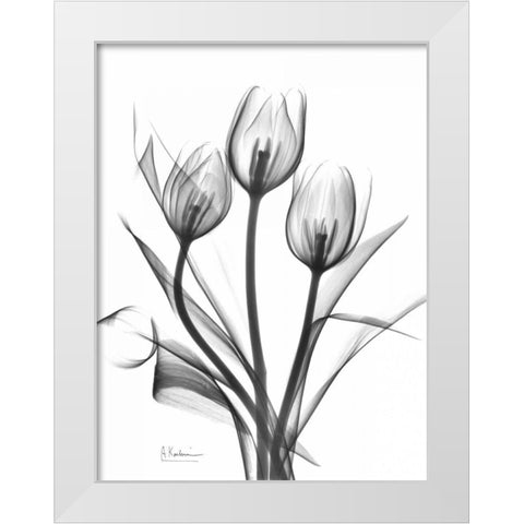 Tulips Bunch in BandW White Modern Wood Framed Art Print by Koetsier, Albert