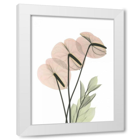 Flamingo in Color White Modern Wood Framed Art Print by Koetsier, Albert