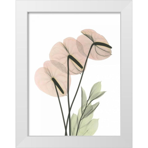 Flamingo in Color White Modern Wood Framed Art Print by Koetsier, Albert