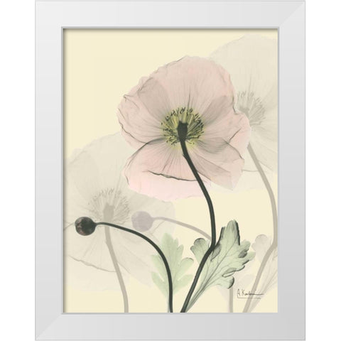 Mandelilla in Color  on Beige 2 White Modern Wood Framed Art Print by Koetsier, Albert