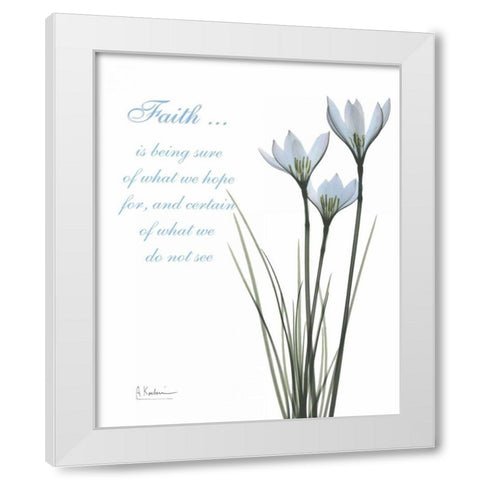 White Rain Lily - Faith White Modern Wood Framed Art Print by Koetsier, Albert