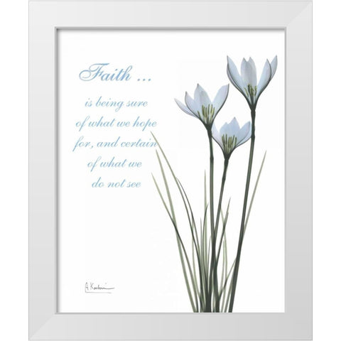 White Rain Lily - Faith White Modern Wood Framed Art Print by Koetsier, Albert