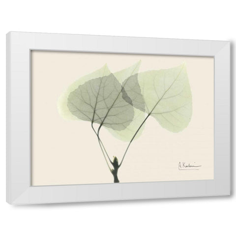 Aspen on Beige White Modern Wood Framed Art Print by Koetsier, Albert