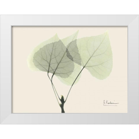 Aspen on Beige White Modern Wood Framed Art Print by Koetsier, Albert