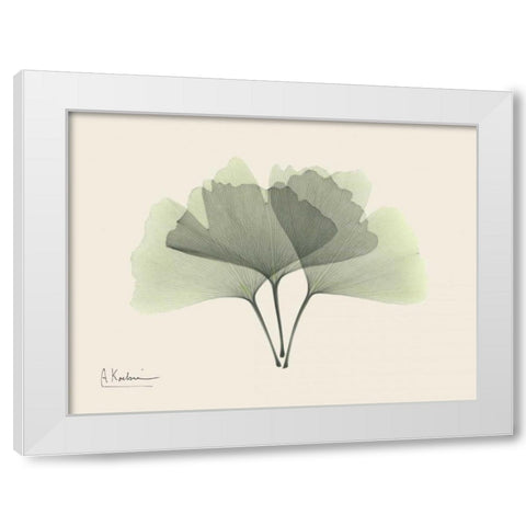 Ginkgo on Beige White Modern Wood Framed Art Print by Koetsier, Albert