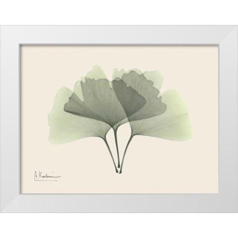 Ginkgo on Beige White Modern Wood Framed Art Print by Koetsier, Albert