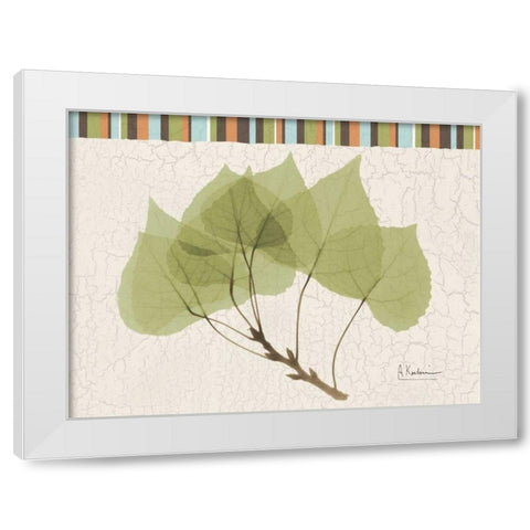 Trimmed Aspen White Modern Wood Framed Art Print by Koetsier, Albert