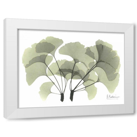 Ginkgo in Green White Modern Wood Framed Art Print by Koetsier, Albert