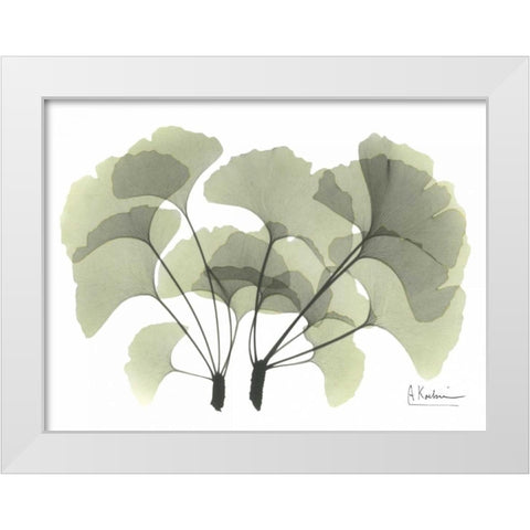 Ginkgo in Green White Modern Wood Framed Art Print by Koetsier, Albert