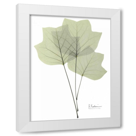 Tulip Tree in Green White Modern Wood Framed Art Print by Koetsier, Albert