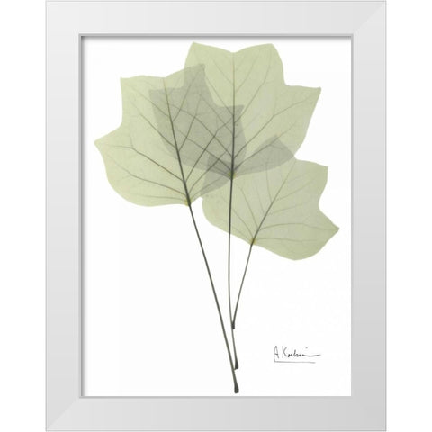 Tulip Tree in Green White Modern Wood Framed Art Print by Koetsier, Albert