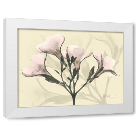 Oleander in Pink on Beige White Modern Wood Framed Art Print by Koetsier, Albert