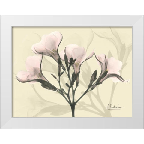 Oleander in Pink on Beige White Modern Wood Framed Art Print by Koetsier, Albert