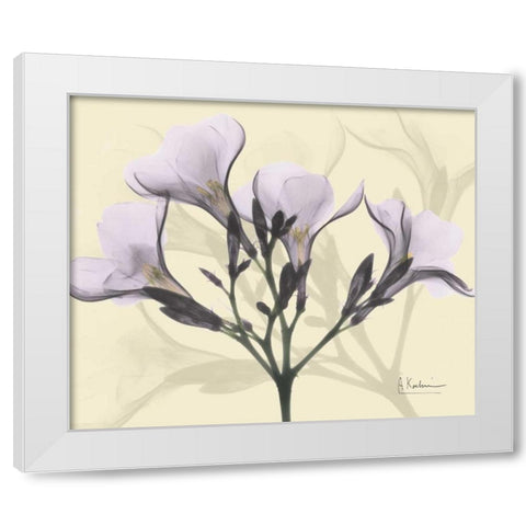 Oleander in Purple on Beige White Modern Wood Framed Art Print by Koetsier, Albert