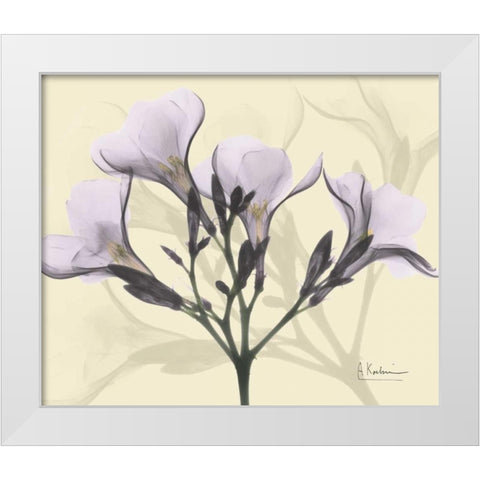 Oleander in Purple on Beige White Modern Wood Framed Art Print by Koetsier, Albert