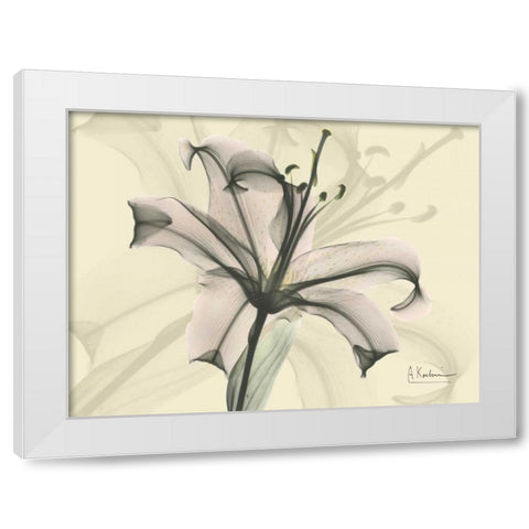 Lily in Pink on Beige White Modern Wood Framed Art Print by Koetsier, Albert