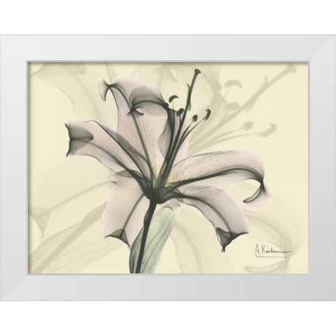 Lily in Pink on Beige White Modern Wood Framed Art Print by Koetsier, Albert