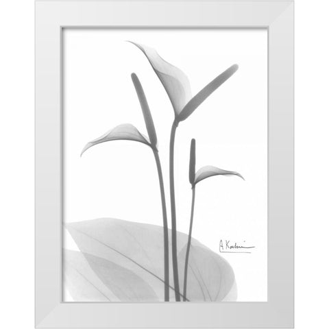 Flamingo in BandW White Modern Wood Framed Art Print by Koetsier, Albert