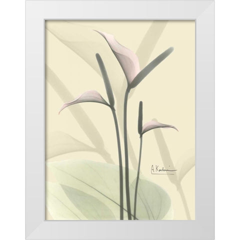 Flamingo in Color on Beige White Modern Wood Framed Art Print by Koetsier, Albert